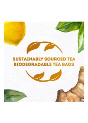 ليبتون منقوع الأعشاب بالليمون والزنجبيل 20 كيس شاي