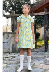 HC Kids Wear Girl's Baby Collar Lemon Print Dress