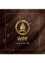 ويلا كوليستون بيرماننت أويل كولور طقم كريم صبغة الشعر - 7.1 أشقر رمادي متوسط