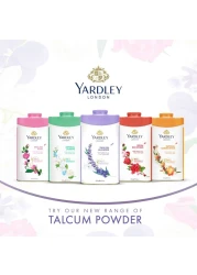ياردلي لندن بودرة تلك معطرة باللافندر الإنجليزي 250 غرام