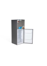 Terim 220L Net Capacity Double Door Top Mount Refrigerator Bright Silver TERR300S