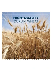 Barilla Chifferini Macaroni Cello Pack 400g