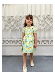 HC Kids Wear Girl's Baby Collar Lemon Print Dress