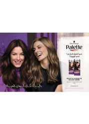 Palette Intensive Color Creme 7-1 Cool Middle Blonde